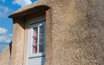 Bedwlwyn thatch roof disadvantages