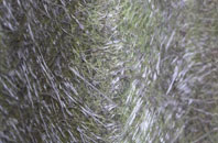 Bedwlwyn fibreglass roof work